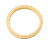 Joint d'abat-jour pour Pentair 79108500 et 79108600 | Compatible avec et fixations | Bague d'étanchéité en caoutchouc | 10,7 cm OD | Pièce de rechange durable pour lampe de piscine (1 pièce)