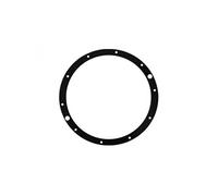 Joint de bride pour projecteur de piscine SP0512 Eurolite - SPX0506DE -