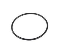 Joint de couvercle de panier de préfiltre pour pompe de filtration de piscine starite 5p2r
