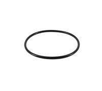 Joint de couvercle pour pompe de piscine Super II, RS II et RS II EVO - SPX3000S - Hayward Noir G