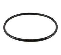 Joint de couvercle pour pompe de piscine Super II, RS II et RS II EVO - SPX3000S - Hayward Noir G