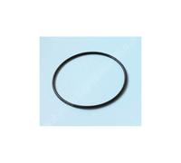 Joint de couvercle PPE Silen2/POseidon/Tifon 1 Nm pour couv 129423 ESPA