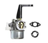 Joint Etanchéité Carburateur Carburateur BP17A-2 696065 Pour Briggs & Stratton 697422 110402 110412 215369 Carburateur De Moteur Avec Kit De Joints De Montage(BP17A-2)