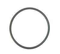 Joint O-RING DIFFUSEUR POMPE STARITE