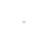 Joint torique 20,35X1,78 MM pour meuleuse angulaire GWS 24-230P et autres modèles BOSCH - 1600210039