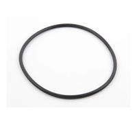 Joint torique AEW530/60 pour Nettoyeur de Piscine Hayward