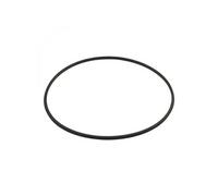 Hayward Joint torique DEX2422Z2 pour corps de filtre – métal renforcé – Noir