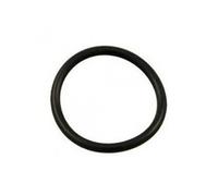 Hayward CX250Z7 Joint torique pour filtre à cartouche Star-Clear II