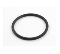 Hayward - Joint torique Plat de traversée pour Filtre à Sable Side de Piscine - Noir - SX0360Z1
