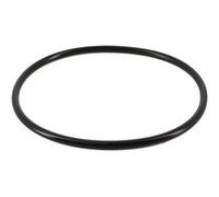 Joint torique pour chlorinateur de piscine - CLX200K - Noir - Hayward Noir G