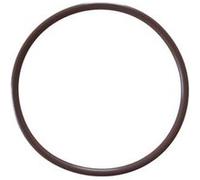 Joint torique pour couvercle d'électrolyseur Saline C - ORX352V70 - Hayward Marron G