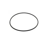 joint torique pour filtre à cartouche de piscine SwimClear - CXFHR1001 - Hayward Noir G