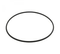 joint torique pour filtre à cartouche de piscine SwimClear - CXFHR1001 - Hayward