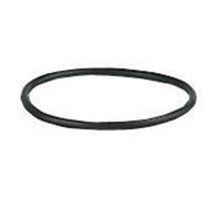Joint torique pour filtre bitube RG 2 WATTS