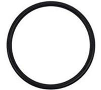 Joint torique pour pompe de piscine Power flo - Noir - SPX1495Z1 - Hayward Noir G