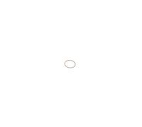 Joint torique pour ponceuse excentrique GET 75-150 et autres modèles BOSCH - 2600210061