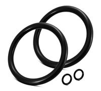 Joints pour filtre à eau Grünbeck - Kit de joints pour filtre fin Grünbeck Geno FS 1"/FSD 1", inserts de filtre à eau - Joint torique pour accessoires d'entretien de filtres, kit de rechange de filtre