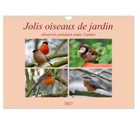 Jolis oiseaux de jardin (Calendrier mural 2027 DIN A4 vertical), CALVENDO calendrier mensuel: Observés pendant toute l'année...