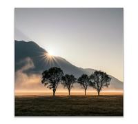 JOSUE Moderne Grand Arbre de la vie Impression sur Toile Noir et blanc Image Tableau Decoration Murale Salon Maison chambre à coucher(Or 49)-30x30cm Sans cadre