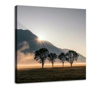 JOSUE Moderne Grand Arbre de la vie Impression sur Toile Noir et blanc Image Tableau Decoration Murale Salon Maison chambre à coucher(Or 49)-30x30cm Encadrée