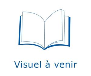 Joyeux Noël - Sweet & cosy sticker book 5 scènes grand format en 3D à créer