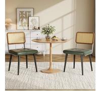 JoyGarden Lot de 2 Chaises de Salle à Manger Modernes en Rotin avec Assise Similicuir et Pieds Métal vert
