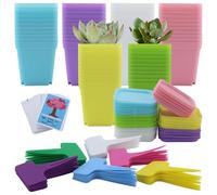 JRSHIRLEYLTD Lot de 66 pots de culture, 7 cm, carrés, avec soucoupe, petits pots de fleurs, en plastique, pour graines de plantes succulentes, multicolores
