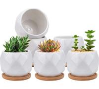 Jucoan Céramique Cache-pot Succulentes Bambou Plateau Pot de Fleurs Blanc Set de 6 pièces