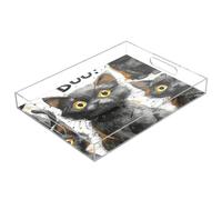 JUMBEAR Plateau de Service en Acrylique avec Motif Chat Noir Mignon sur Halloween - Plateaux Transparents pour Service Alimentaire, Restauration, fêtes, Mariages, Anniversaires - Plateaux à Sandwich