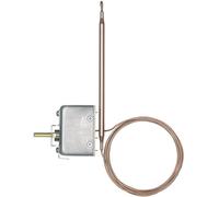 Jumo 60000494 2 points de réglage Régulateur de température 0 à 100 °C Relais 16 A