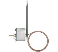 Jumo 60000495 Régulateur de température