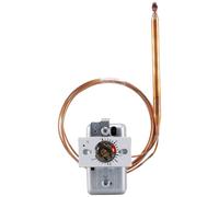 Jumo 60001263 Disjoncteur thermique