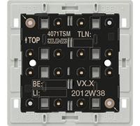 Jung 4071 TSM Interrupteur électrique (4071 TSM)