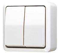 Jung 605 A WW Interrupteur électrique 1P blanc (605AWW)