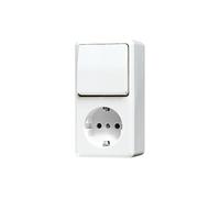 JUNG AP600 Combination Switch Outlet RA Alpin White - 676AWW