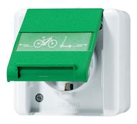 Jung 820 GN NAWEB Prise avec symbole de charge E-Bike + couvercle rabattable + champ d'inscription IP44 gris/vert