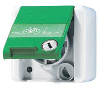 Jung 820 GN NAWSLEB Prise avec symbole de charge E-Bike + couvercle rabattable + champ d'inscription + serrure de sécurité IP44 gris/vert