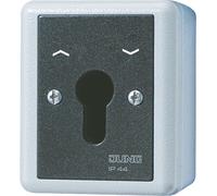 JUNG 834.28G Interrupteur électrique Key-operated switch Noir