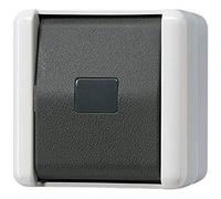 JUNG Bouton-poussoir, Bouton + interrupteur, Gris