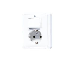 JUNG CD500 Interrupteur Prise Combiné Avec Contact De Terre - 5576EUWW