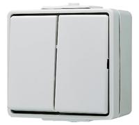 Jung complet Interrupteur double WG 600 gris 605W 1 pc(s)
