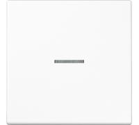 Jung eNet Bouton-poussoir deradio FM LS 1700 WW FMLS1700WW