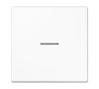 Jung eNet Bouton-poussoir deradio standard simple FM LS 1700 WW (FMLS1700WW)