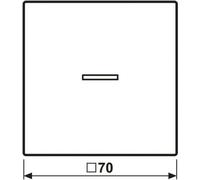 Jung HOME Bouton-poussoir BTLS17101PSWM simple avec symbole de flèche 1 (BTLS17101PSWM)