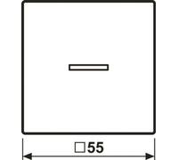 Jung HOME Bouton-poussoir simple BTA17101SWM 1 (BTA17101SWM)