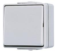 JUNG Interrupteur à bascule 607W WG600 IP44 Croix 607W (607W)