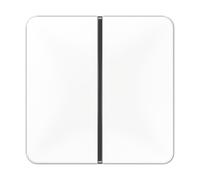 Jung Jeu de touches simple aws CD 401 TSA WW CD401TSAWW