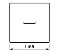 JG BTAS17101PWW - Bouton Bluetooth, simple, blanc alpin, flèches