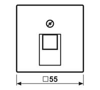 Jung Jung Cache pour boîte de connexion IAE/UAE A 569-1 BFPLUA WWM Quantité:1