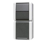 Jung Jung Combiné interrupteur-prise 16A 250V 876 W Quantité:1